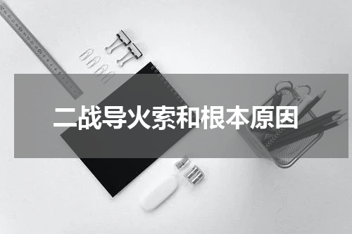 二战导火索和根本原因