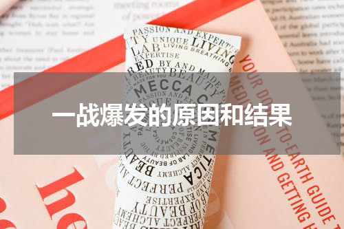 一战爆发的原因和结果