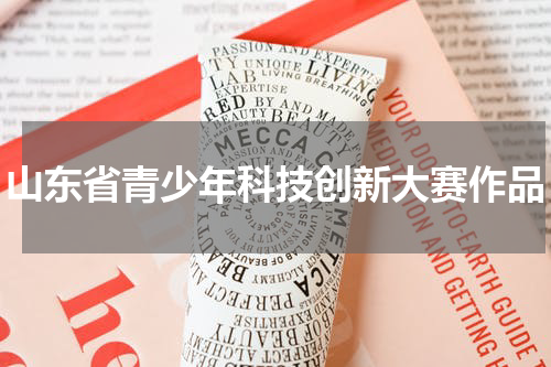 山东省青少年科技创新大赛作品