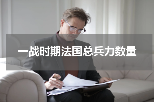 一战时期法国总兵力数量
