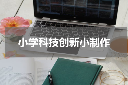 小学科技创新小制作