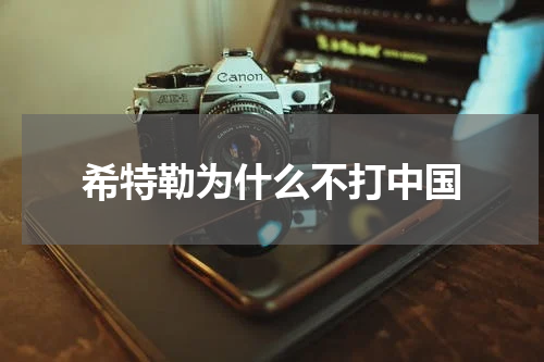 希特勒为什么不打中国
