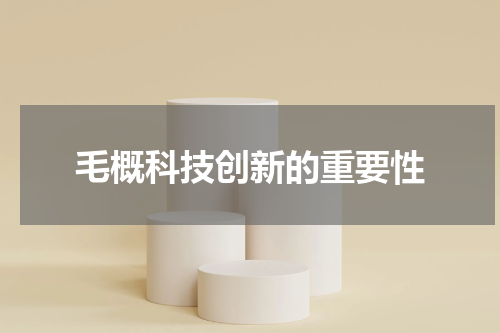 毛概科技创新的重要性