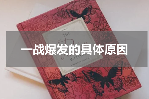 一战爆发的具体原因