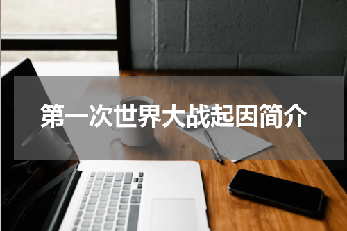 第一次世界大战起因简介