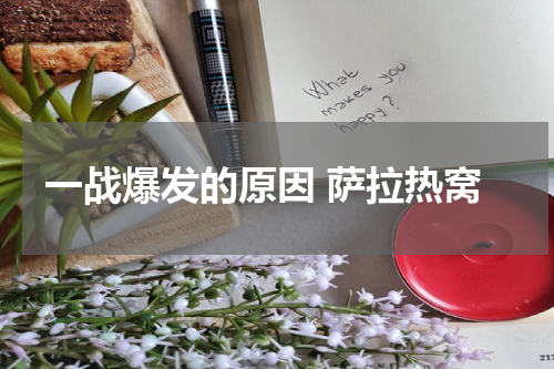 一战爆发的原因 萨拉热窝