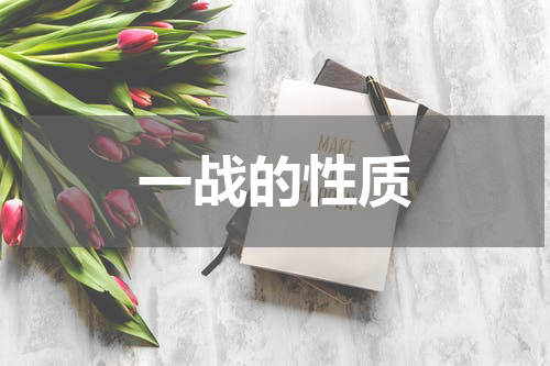 一战的性质