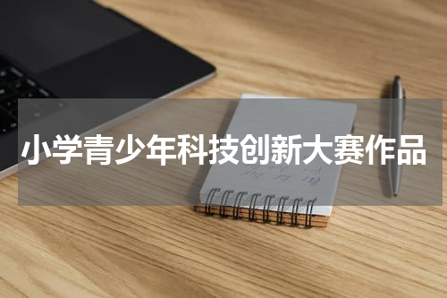 小学青少年科技创新大赛作品