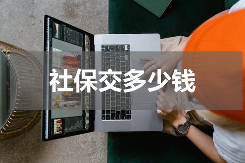 社保交多少钱