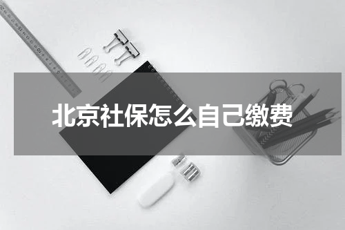 北京社保怎么自己缴费