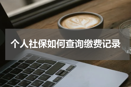 个人社保如何查询缴费记录