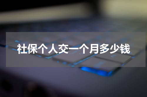 社保个人交一个月多少钱