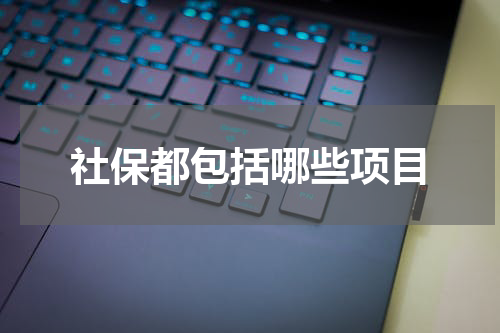 社保都包括哪些项目