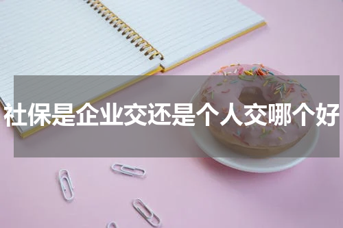 社保是企业交还是个人交哪个好