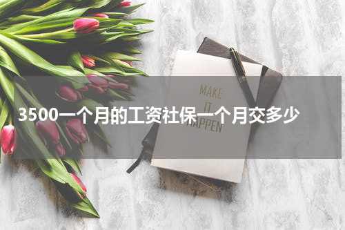 3500一个月的工资社保一个月交多少
