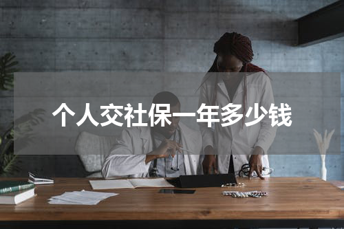 个人交社保一年多少钱