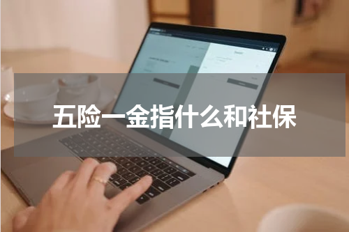 五险一金指什么和社保