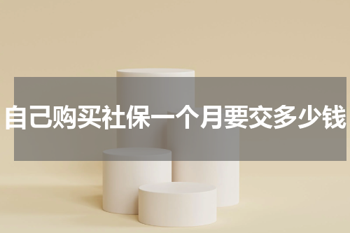 自己购买社保一个月要交多少钱