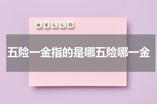 五险一金指的是哪五险哪一金