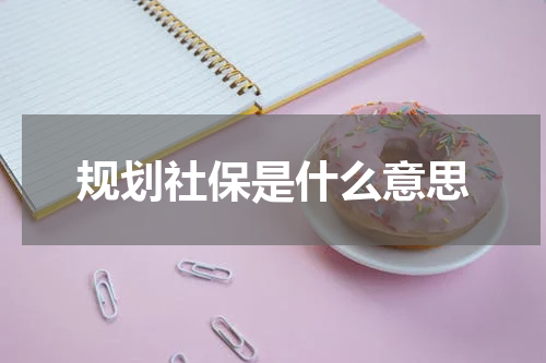 规划社保是什么意思