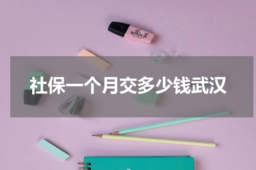 社保一个月交多少钱武汉