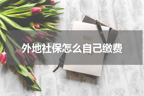 外地社保怎么自己缴费