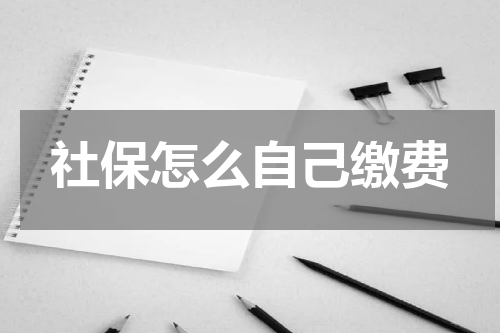 社保怎么自己缴费