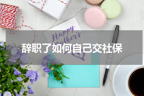 辞职了如何自己交社保