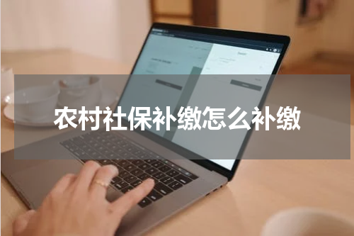 农村社保补缴怎么补缴