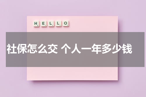 社保怎么交 个人一年多少钱