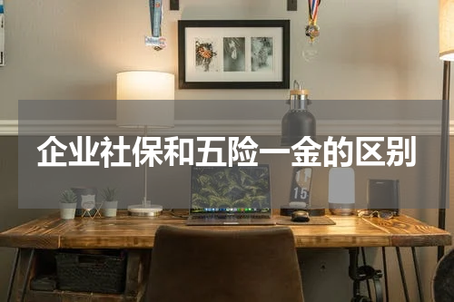 企业社保和五险一金的区别