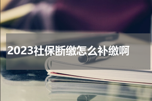 2023社保断缴怎么补缴啊