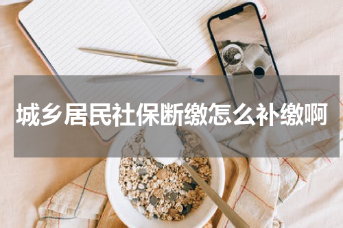 城乡居民社保断缴怎么补缴啊