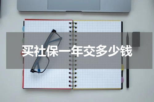 买社保一年交多少钱