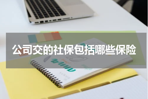 公司交的社保包括哪些保险