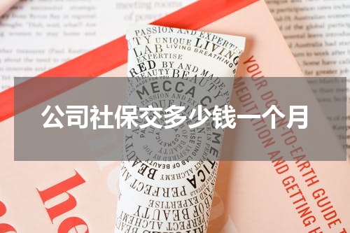 公司社保交多少钱一个月