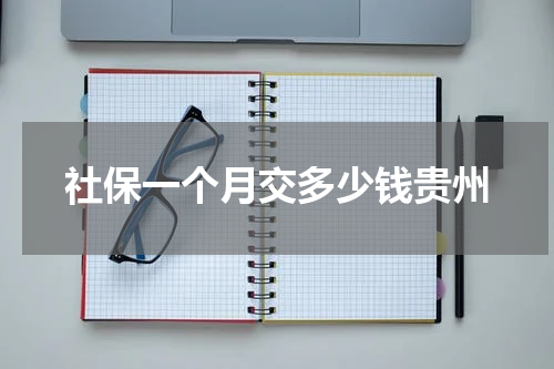 社保一个月交多少钱贵州