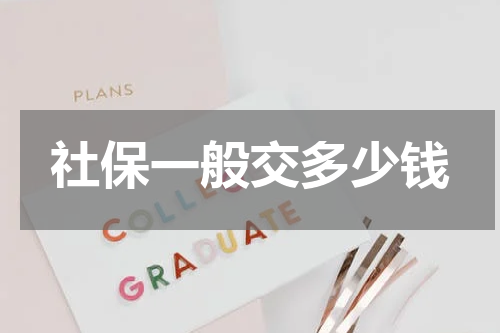 社保一般交多少钱
