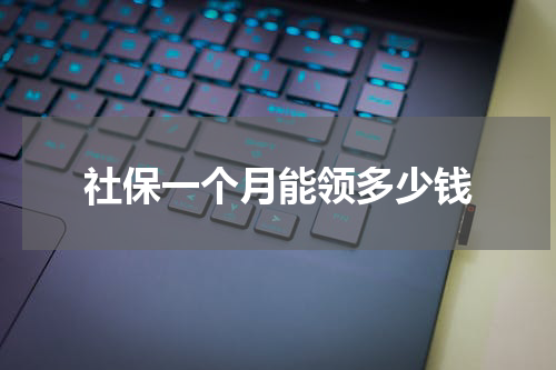 社保一个月能领多少钱