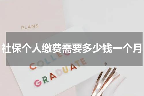 社保个人缴费需要多少钱一个月