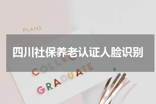 四川社保养老认证人脸识别