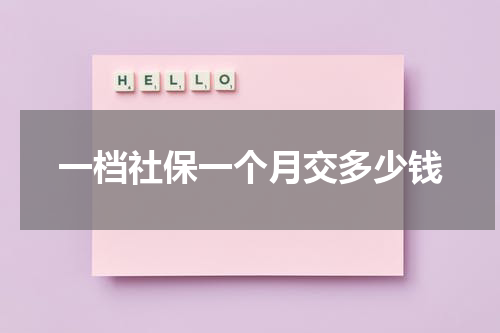 一档社保一个月交多少钱