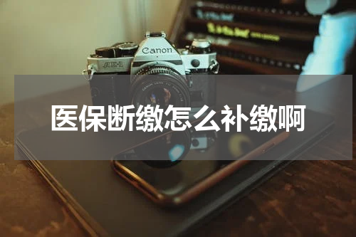医保断缴怎么补缴啊
