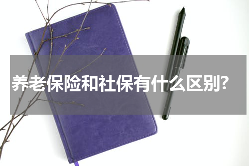 养老保险和社保有什么区别?