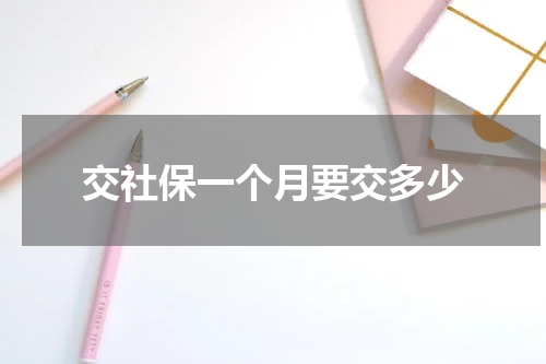 交社保一个月要交多少