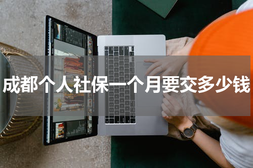 成都个人社保一个月要交多少钱