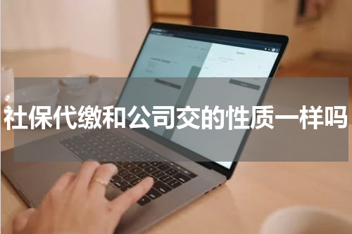 社保代缴和公司交的性质一样吗