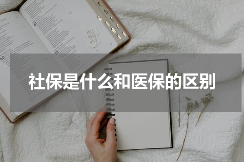 社保是什么和医保的区别