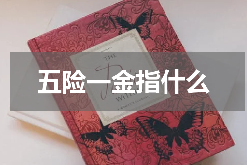 五险一金指什么