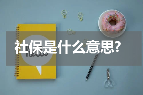 社保是什么意思?